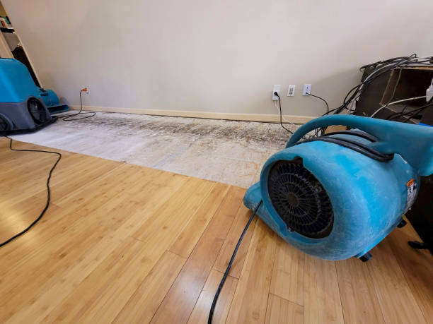 Professional Emergency Water Damage technician working in Batesville, TX